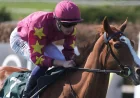 Joseph O'brien’s Classic double chance with Dylan Browne McMonagle
