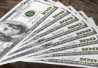 Bausili impulsa Mercado Cambiario con dólar oficial a $1.455