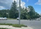 Police Search After Multiple Shot Near Old West End Festival