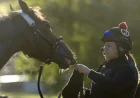 Cherie DeVaux Sends Golden Tempo to Saratoga Belmont — Golden Tempo Trainer