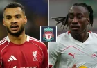 Cody Gakpo Spurs Move Gains Pace in Liverpool Diomande Transfer News