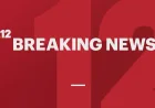 Five people stabbed at Penn Station as suspect is taken into custody