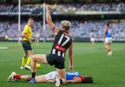 Brody Mihocek Leaves King’s Birthday Clash After Billy Frampton Tackle