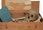 Anita Manning auction house pulls £500 human bones sale