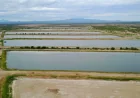 Doug Burgum moves Lake Mead states toward 2026 water fight