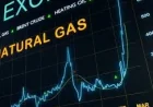 Common Wealth Thinktank Electricity Report could save households nearly £200