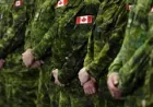 Jean-Philippe Boutin avance le dossier Forces Armées à Ottawa