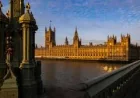 Mullineaux backs ban on Flea Treatments as 80% support sale limits