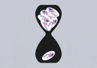 Alex Padilla Says California Can Speed Count — Reasons For Slow California Counting
