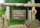 Joseph Louis Serrao Jr. identified after 26 years in Olympic National Park