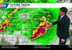 Kwwl: 54-year-old man dies after Des Moines tree strike