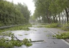Naperville Weather: LaCloche Says 450 Still Without Power After 68 mph Gusts