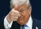 Jonathan Lemire Warns Trump Is in a Ms Now Echo Chamber
