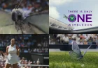 Wimbledon Sets 29 June to 12 July 2026 — When Does Wimbledon Start