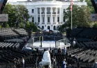Trump Hosts UFC Event for 14 Fighters at White House on Sunday — Ufc 250