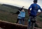 Maria Eduarda Rodrigues De Freitas dies after bridge push in Limeira