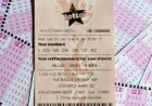 New Lotto game gives players two chances to win — Lotto Results 13 June 2026