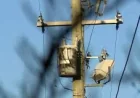 Paul Fischer says Dominion Power Outage mostly restored at 8 p.m.