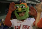 Willson Contreras Homers 16 on Solo Shot Off Eovaldi