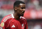 Robbie Fowler Worries Alexander Isak Could Lose Liverpool Fitness