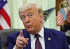 Trump Buys $50,000 Tko Stake Before White House UFC Event