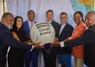 Alphabet Ties Bermuda Cable Landings to AI Infrastructure Push