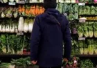 Canada Grocery Competition Plan Faces Indoor Farming Capacity Limits