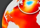 Europe Faces Faster Climate Shift If Amoc Collapse Happens