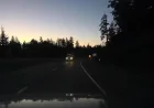 RCMP arrest 52-year-old after 6.8-kilometre Trans-canada Highway drive