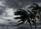 Texas May Get Alerts Within Hours as Invest 90L Builds — Hurricane Tracker