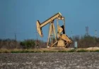 Morgan Stanley Oil Price Forecast: Brent Falls to $83.55 After US-Iran Deal