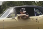 Zach Bryan Drums Up 60,000 at Scottish Gas Murrayfield — Tottenham Stadium
