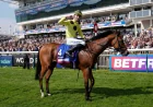 Billy Loughnane to Ride Opera Ballo in Queen Anne Stakes