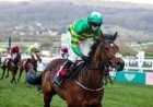 Tom Segal backs Joseph O'brien to match Aidan O'Brien