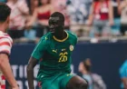 Pape Gueye omits Morocco in African teams' World Cup assessment