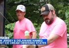 New Jersey Tops 50-State Ice Cream Search Interest List