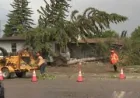 Alberta Tornado Warnings flag hail, 90+ km/h winds Tuesday