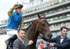 Map Of Stars Wins Wolferton Stakes — Fast Results for France