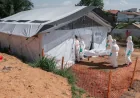 WHO Warns Republic Of Congo Ebola Cases Top 800