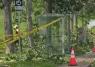 Tiffany Lizee tracks 135 km/h gusts in Ralston — Saskatoon Weather