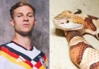 Joshua Kimmich Says Venomous Snake Found at Germany Camp