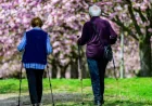 Steiger fordert Kurswechsel bei Rente vor Dienstag