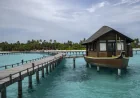 Maldives launches five electric hydrofoil boats for Airport Transfer