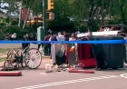 Central Park Carriage Horse Kills 18-Year-Old Tourist Near Tavern on the Green