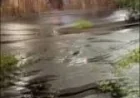 Storm damage reported in Oakbrook, Florence Ky Tornado coverage