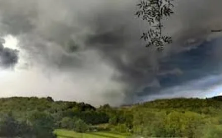 Metoffice forecasts rain and cooler air after 35.1C London record
