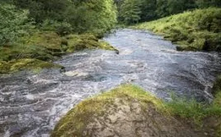 North Yorkshire Police say girl dies after Burnsall rescue