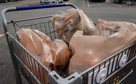 Erha Andini Says Plastic Bag Recycling Can Clog Equipment