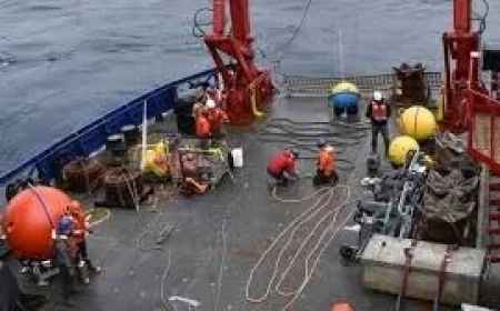 Trump Administration Moves 900 Buoys in Trump Ocean Monitoring Dismantling