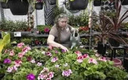 Metro Vancouver Announces Stage 3 Water Restrictions on June 8
